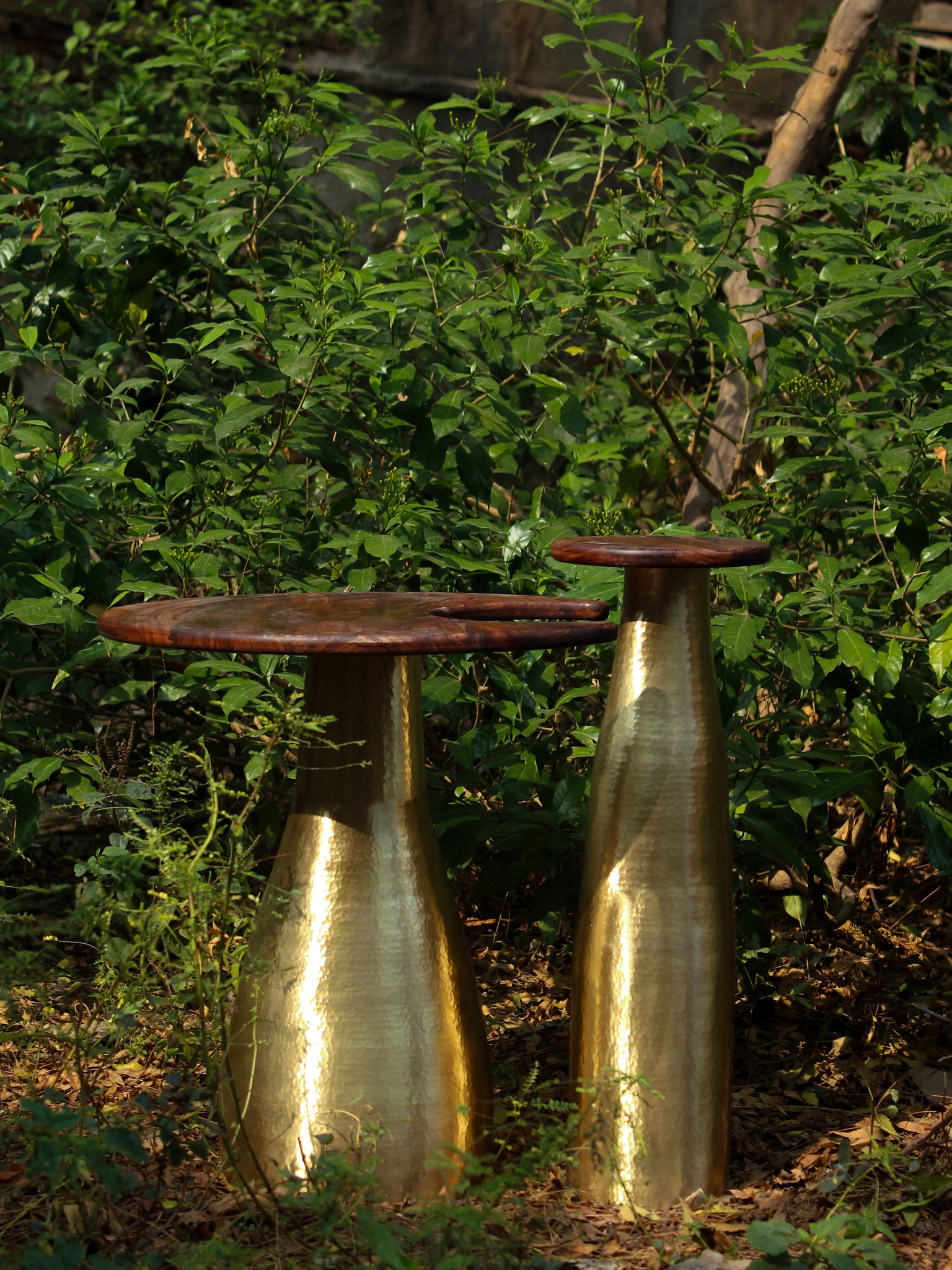 Samatva with surroundings